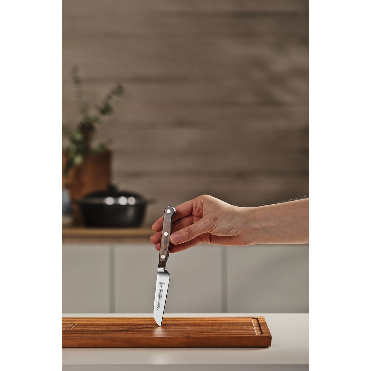 Tramontina Cuchillo Verduras Century Wood NSF 8 cm