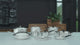 Tramontina Wok Tri-Ply Grano de Acero Inoxidable 32 cm